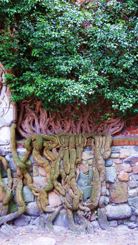 Foto: Zamek w Malborku - Malbork (Pomeranian Voivodeship), Polonia