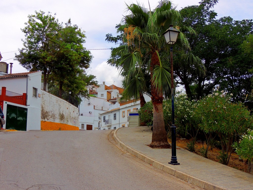 Foto: Avdª de Andalucía - Torre Alhaquime (Cádiz), España