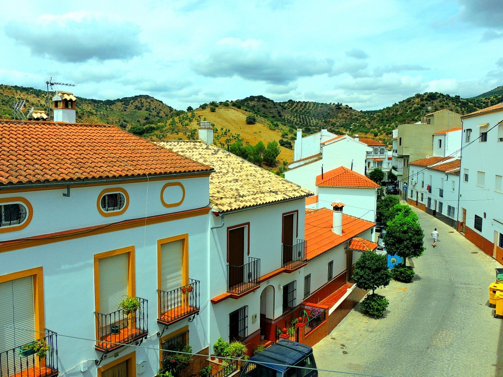 Foto: Avdª de Andalucía - Torre Alhaquime (Cádiz), España