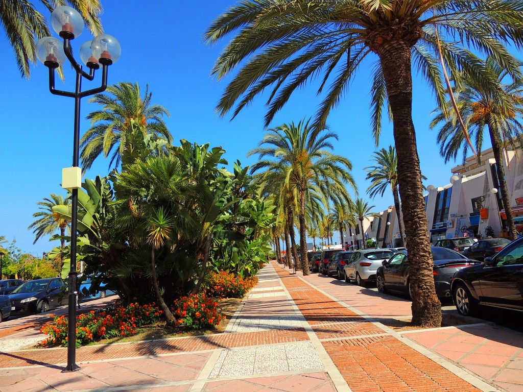 Foto: Avdª de las Naciones Unidas - Marbella (Málaga), España