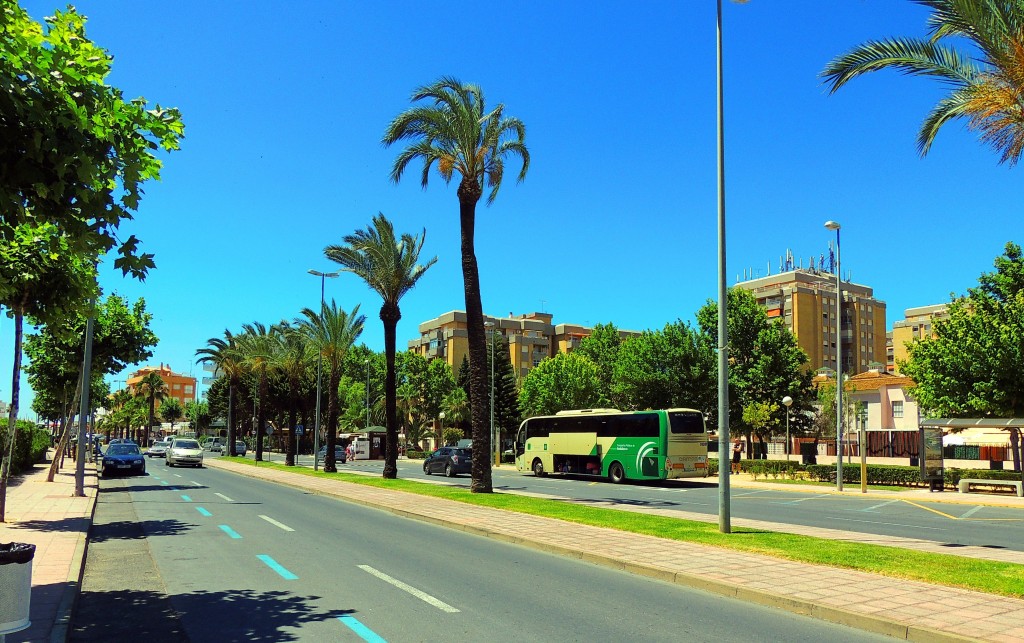 Foto: Avdª de La Antilla - La Antilla (Huelva), España