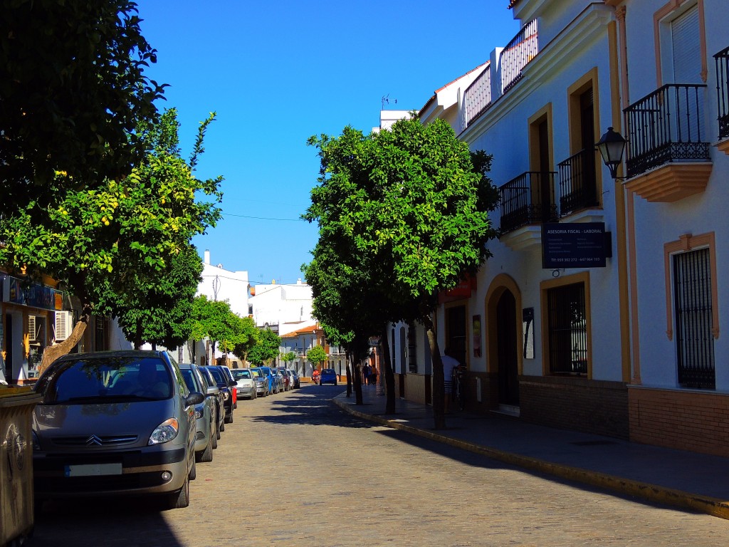 Foto: Avdª del Palo Dulce - Gibraleón (Huelva), España