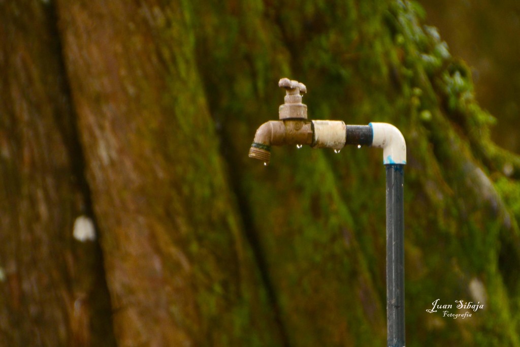 Foto de Fraijanes (Alajuela), Costa Rica