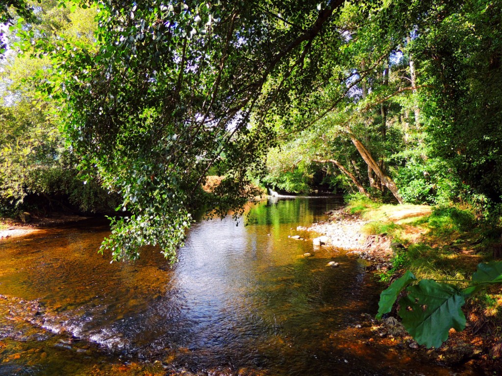 Foto de Allariz (Ourense), España
