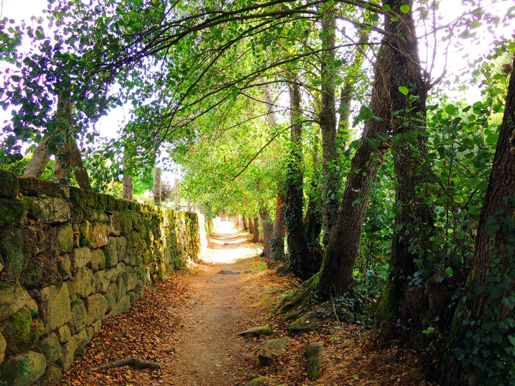 Foto de Allariz (Ourense), España