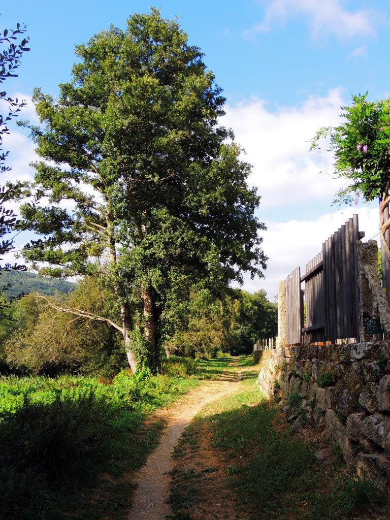 Foto de Allariz (Ourense), España