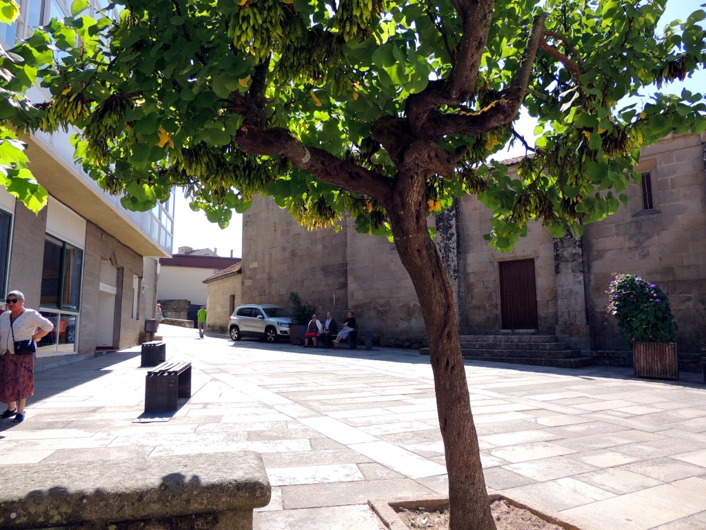 Foto de Allariz (Ourense), España