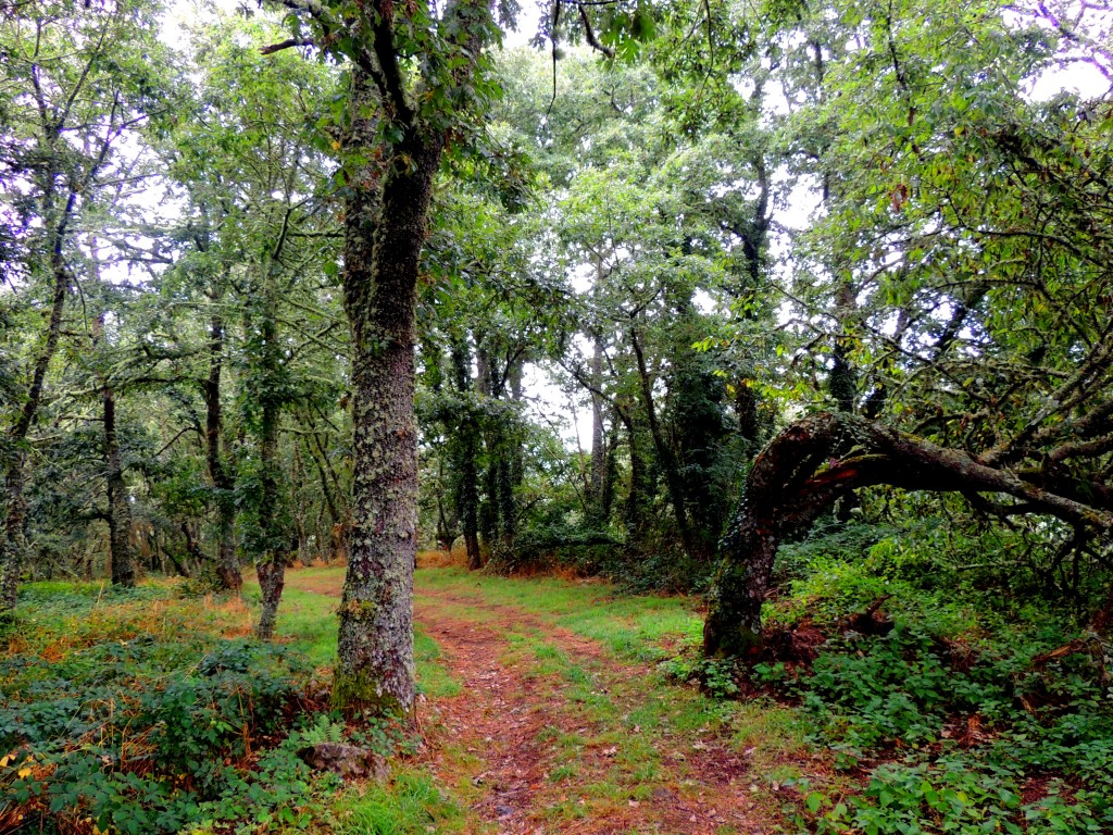 Foto de Castro Caldelas (Ourense), España