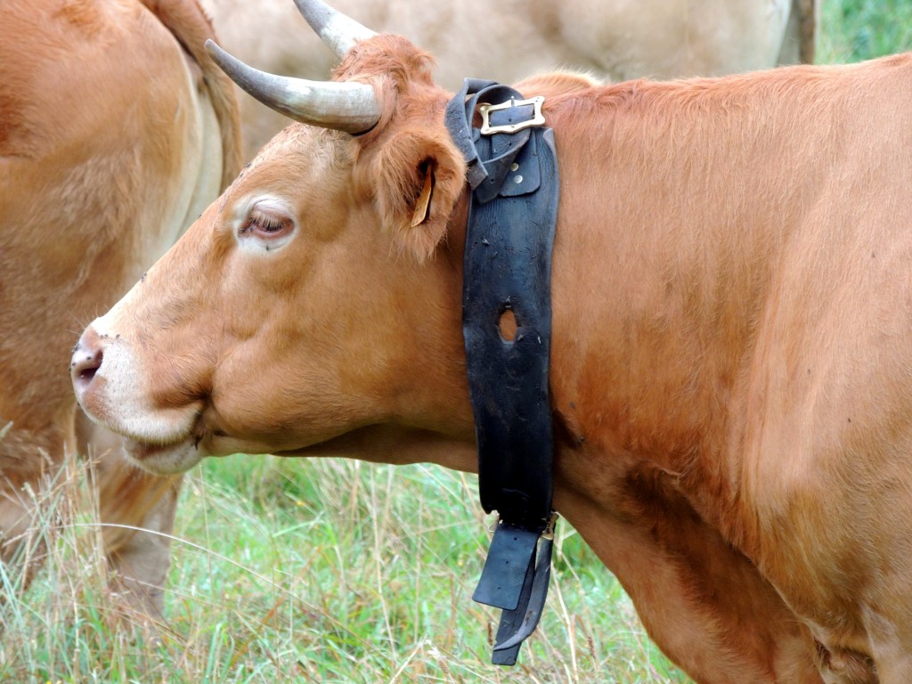 Foto de Castro Caldelas (Ourense), España