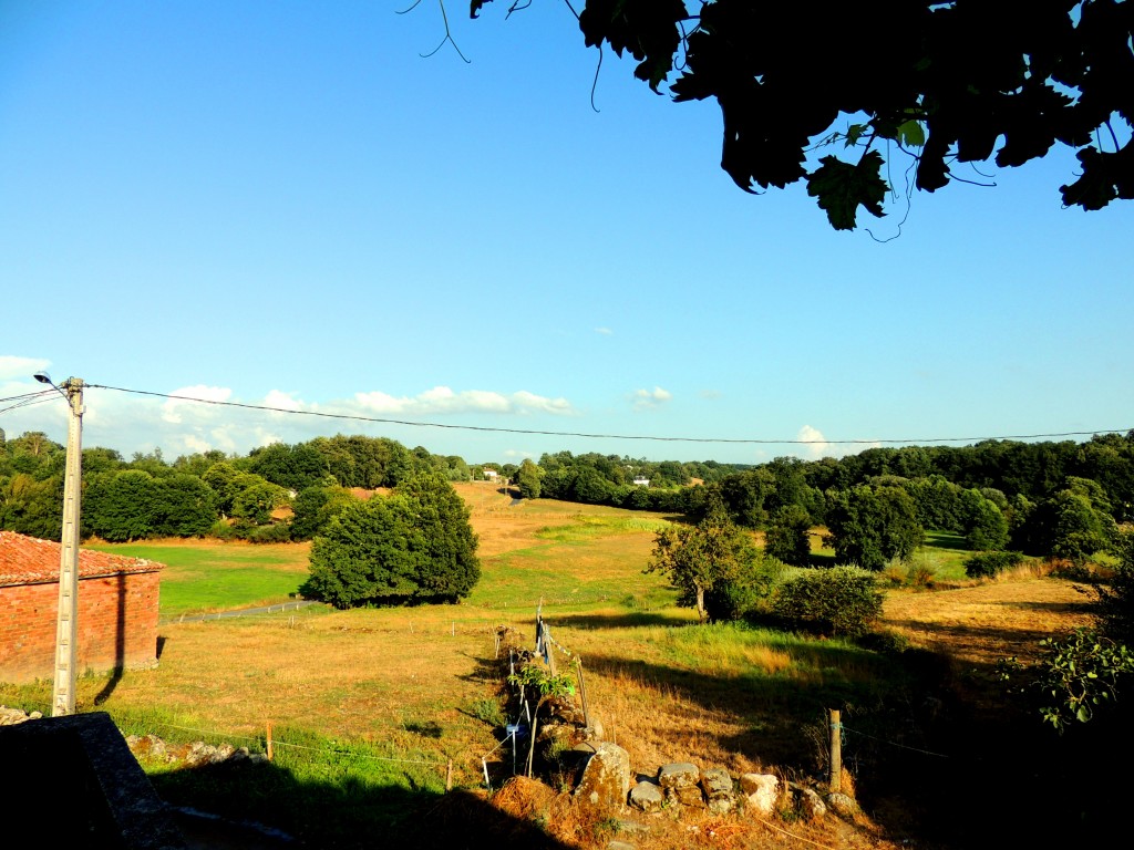 Foto de O Paso (Lugo), España