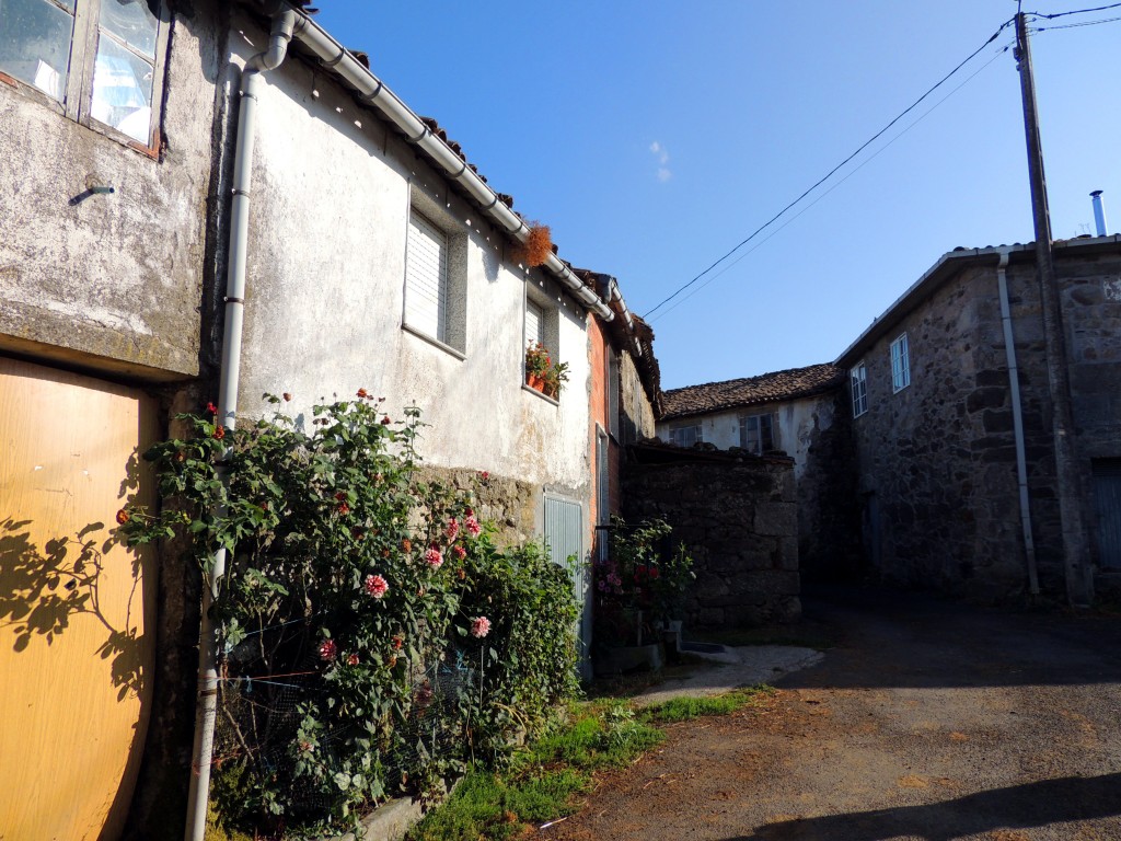 Foto de O Paso (Lugo), España