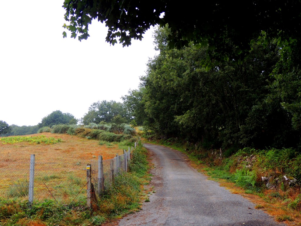 Foto de Castro Caldelas (Ourense), España