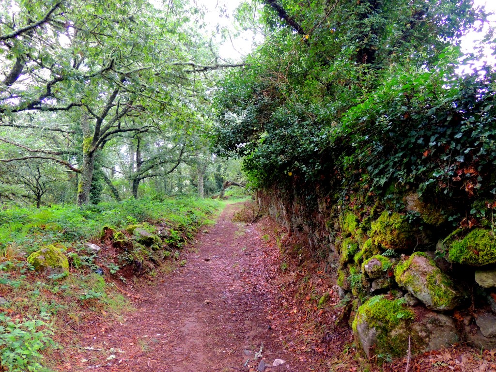 Foto de Castro Caldelas (Ourense), España
