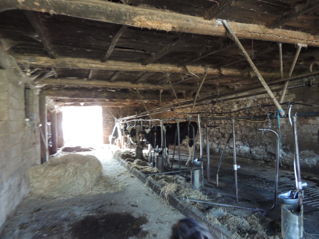 Foto de O Paso (Lugo), España