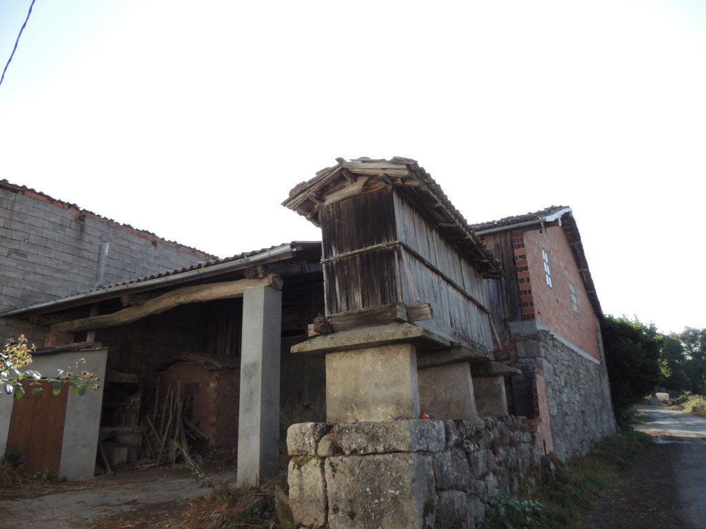 Foto de O Paso (Lugo), España