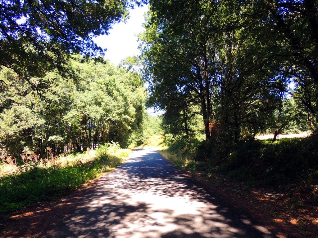 Foto de Ourense (Galicia), España