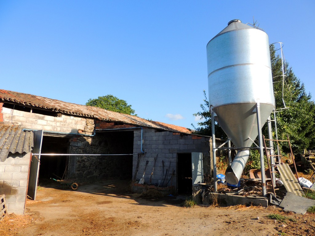 Foto de O Paso (Lugo), España