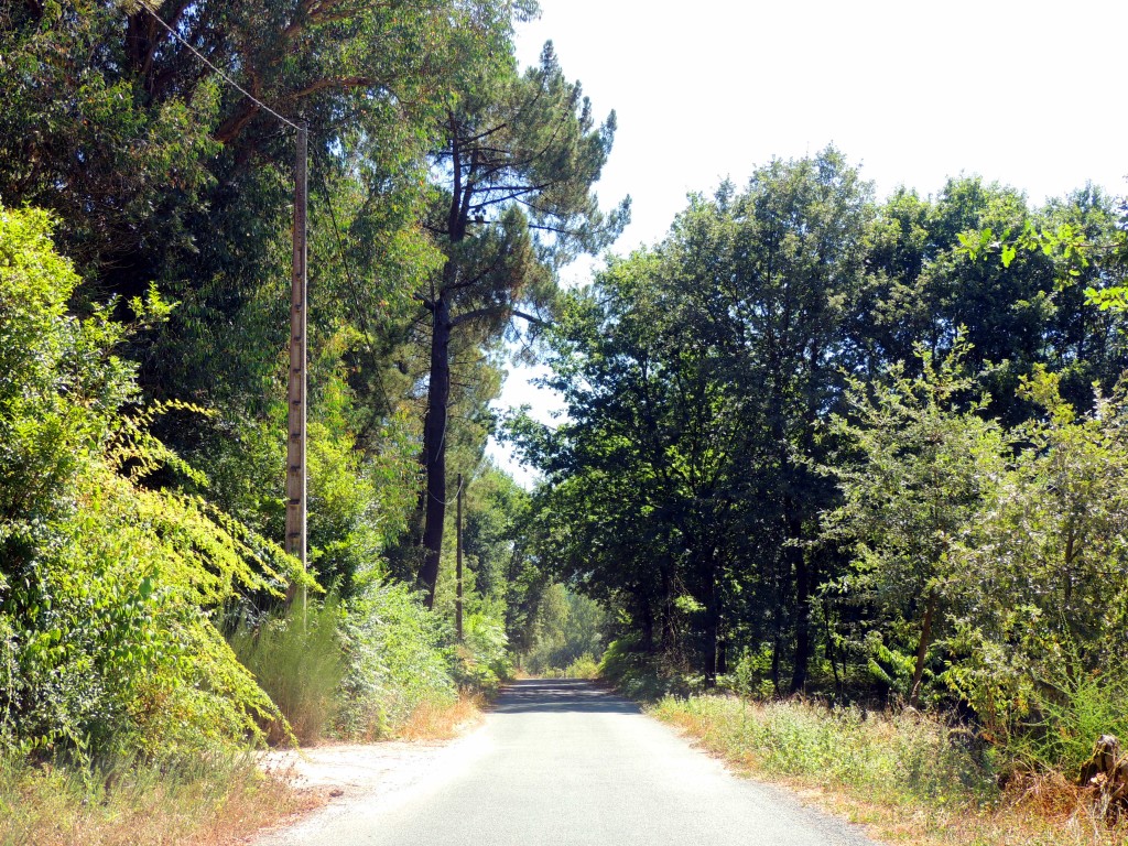 Foto de Ourense (Galicia), España