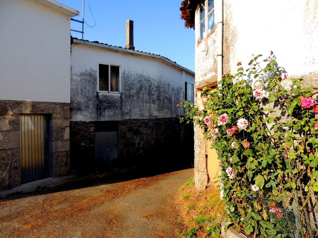 Foto de O Paso (Lugo), España