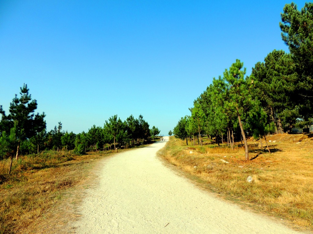 Foto de Parada de Sil (Ourense), España