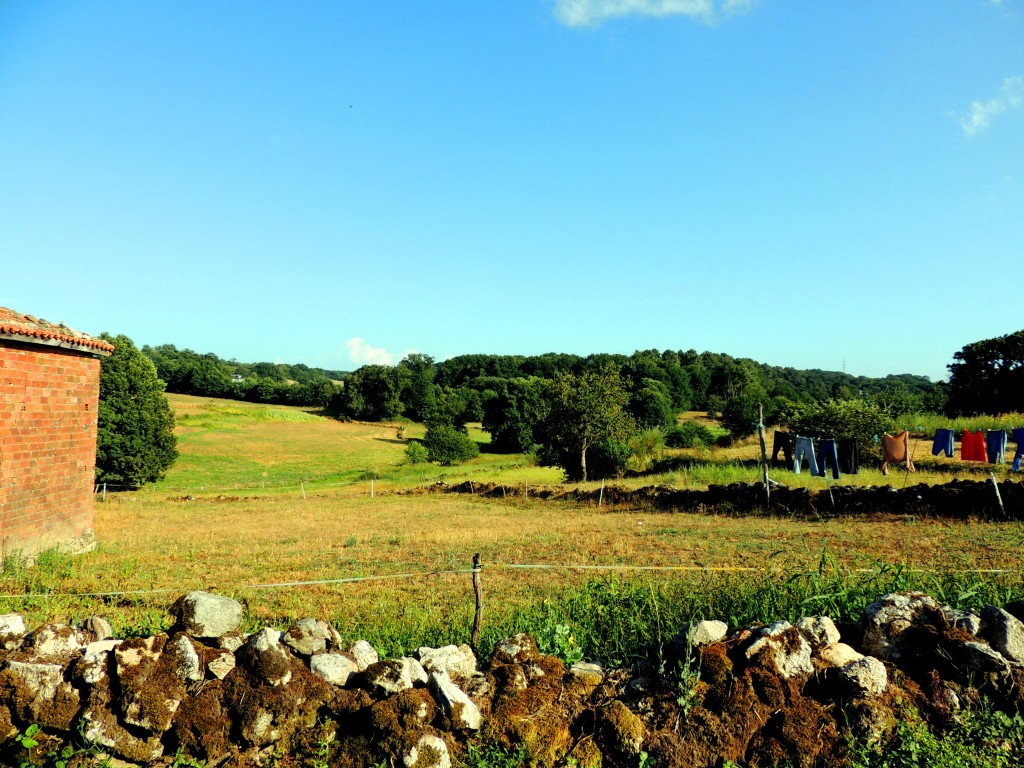Foto de O Paso (Lugo), España