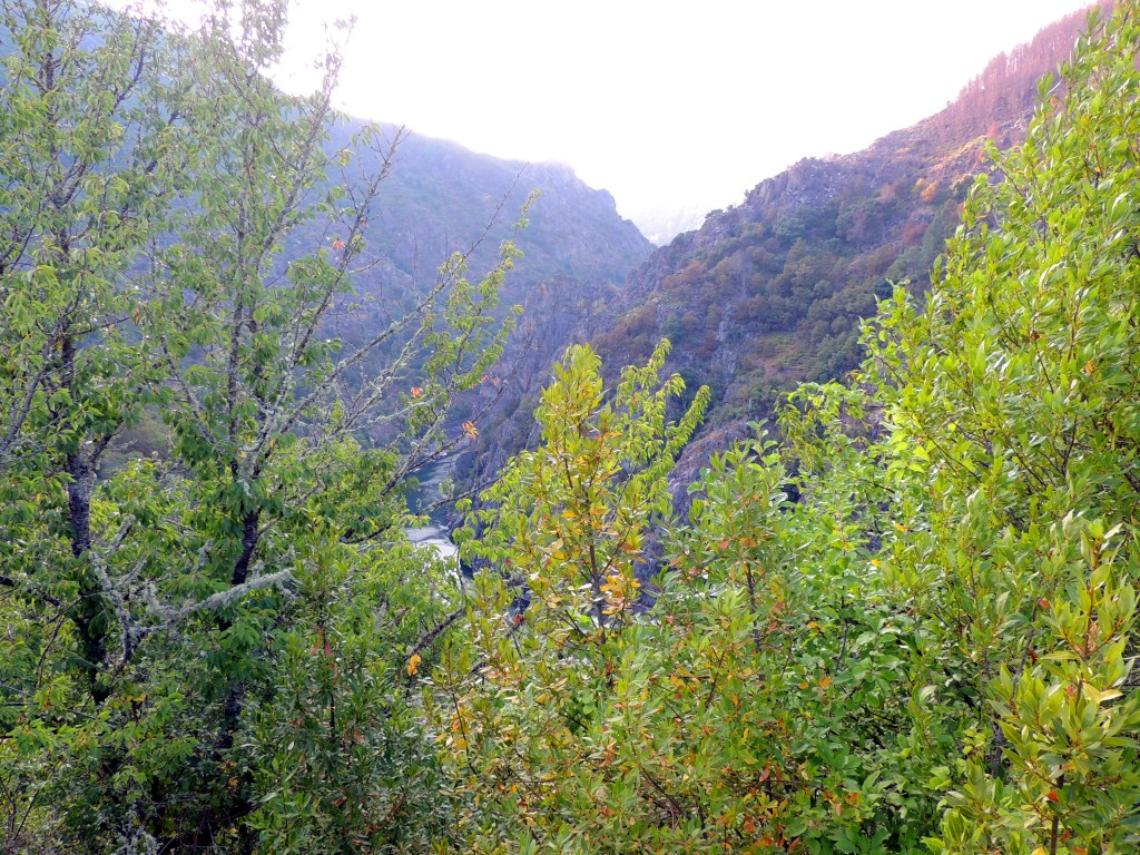 Foto de Parada de Sil (Ourense), España