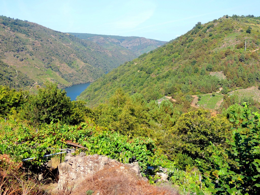 Foto de Parada de Sil (Ourense), España