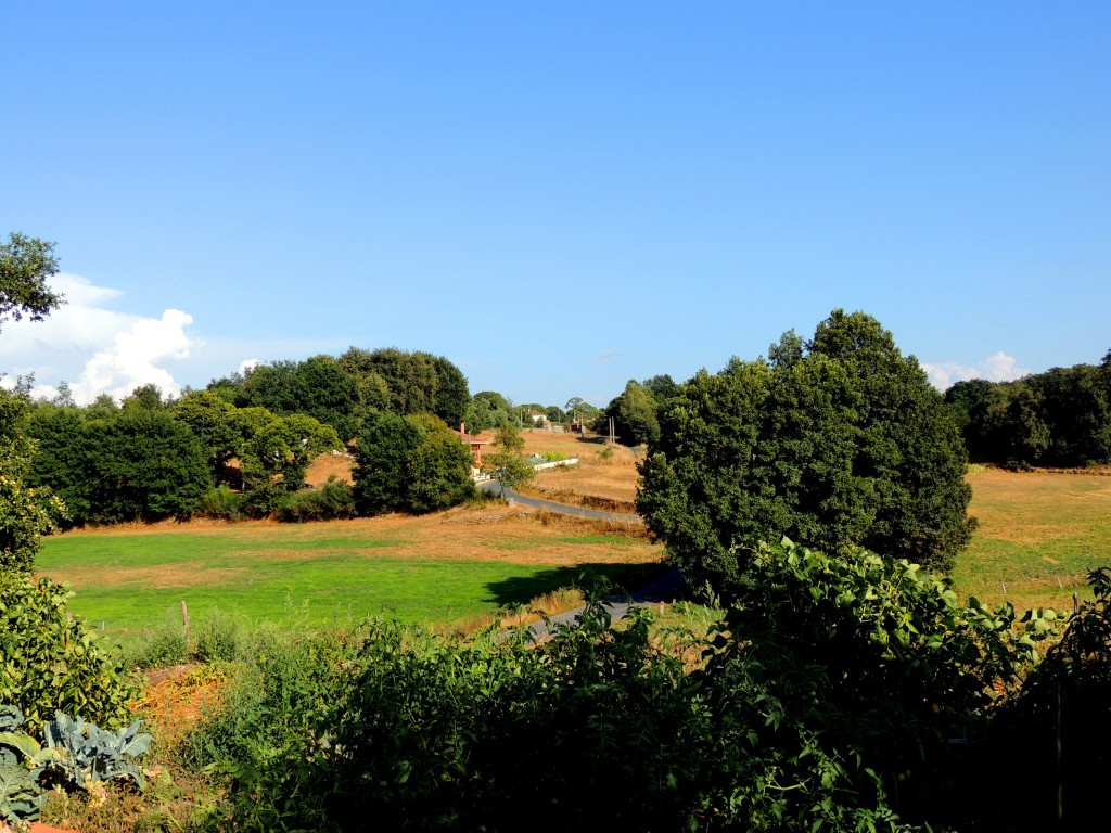 Foto de O Paso (Lugo), España