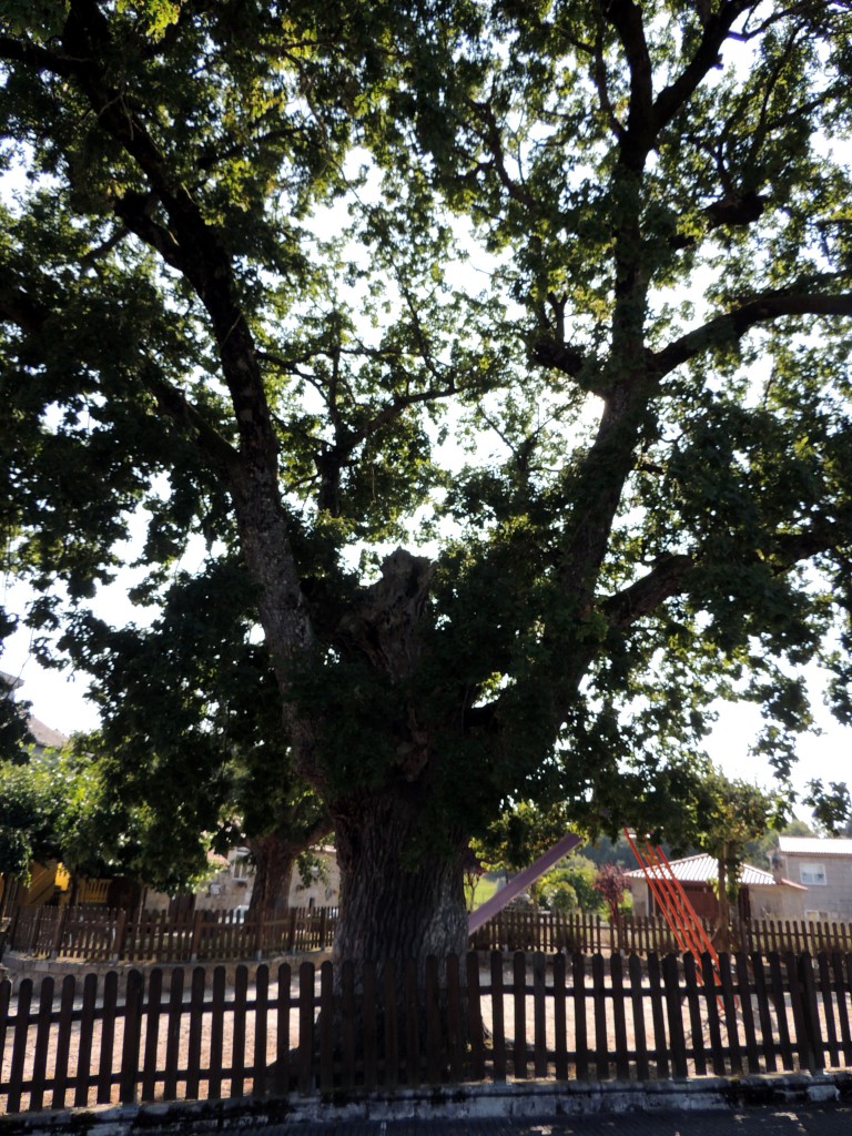 Foto de Parada de Sil (Ourense), España