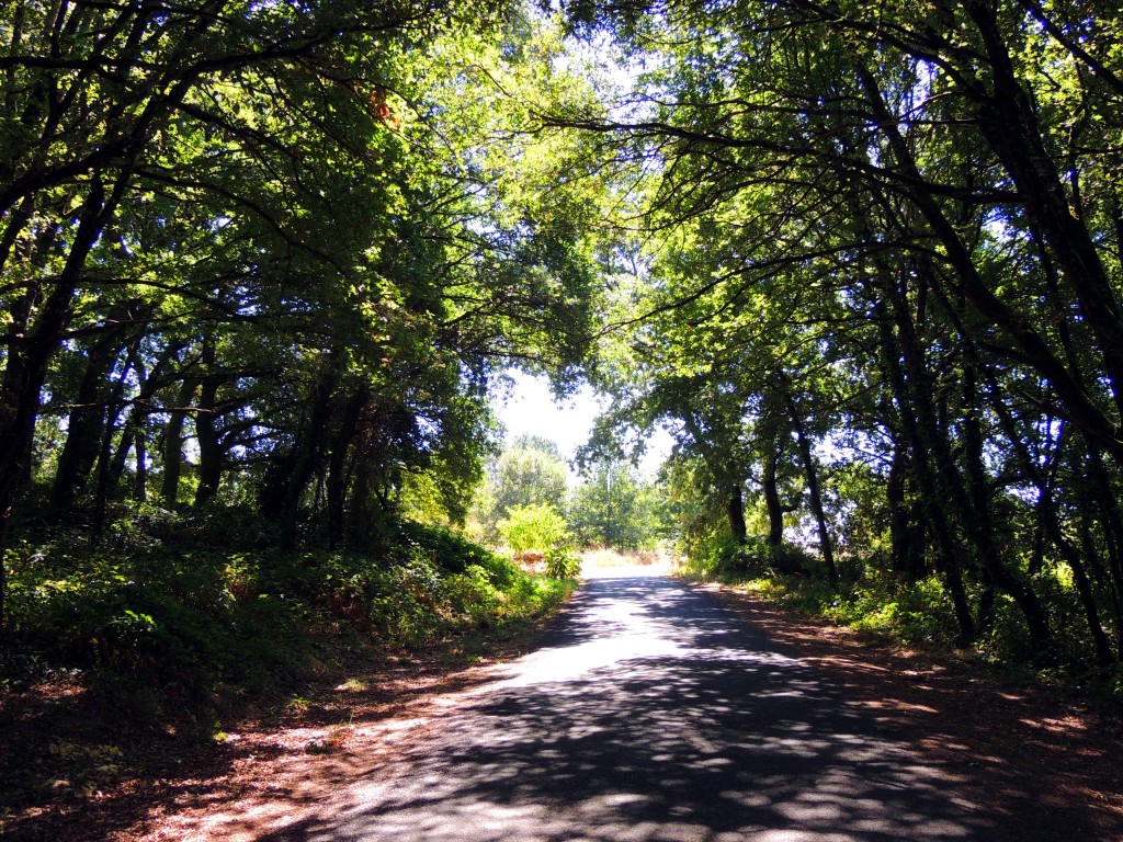Foto de Ourense (Galicia), España
