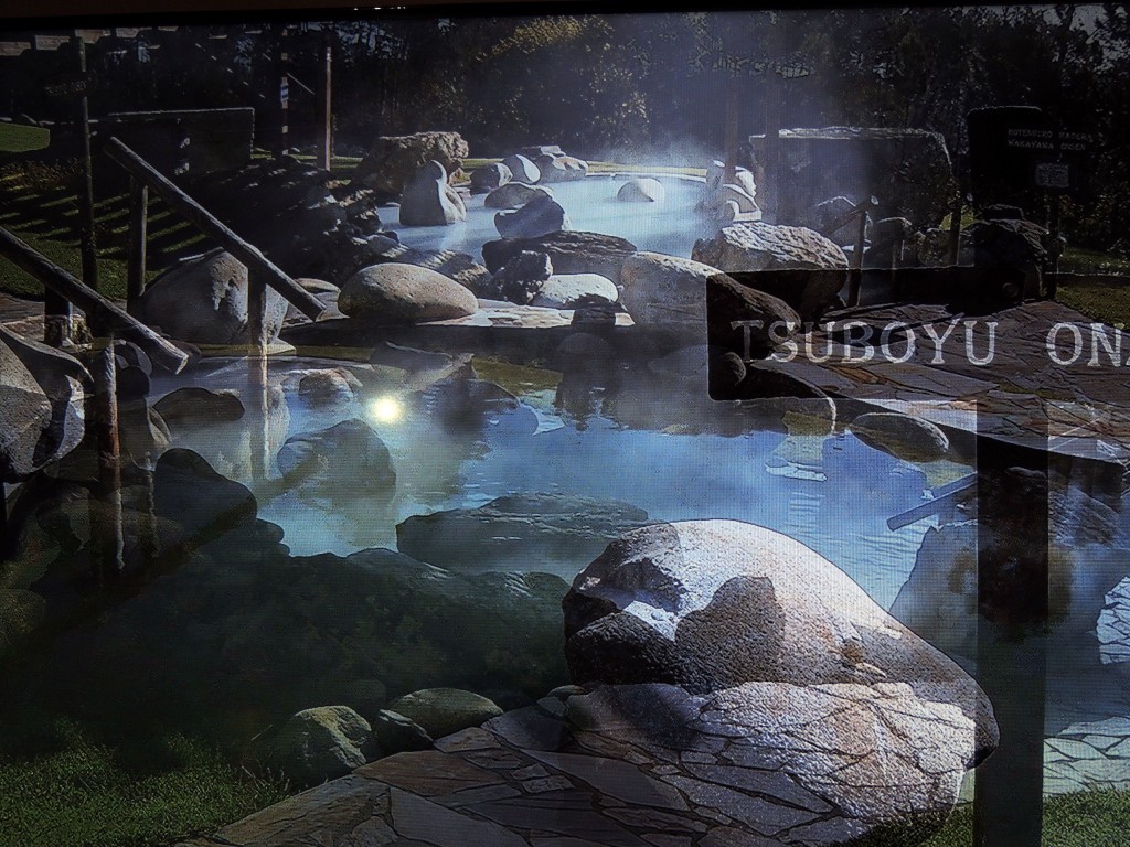 Foto de Rivadavia (Ourense), España