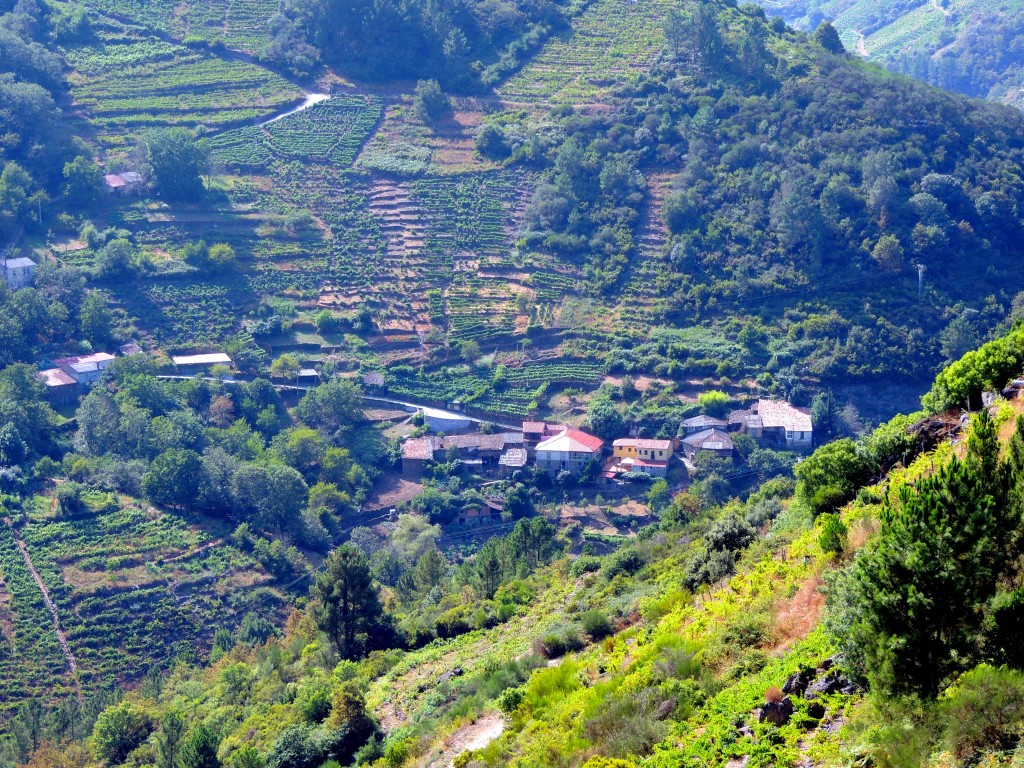 Foto de Rivera Sacra (Ourense), España