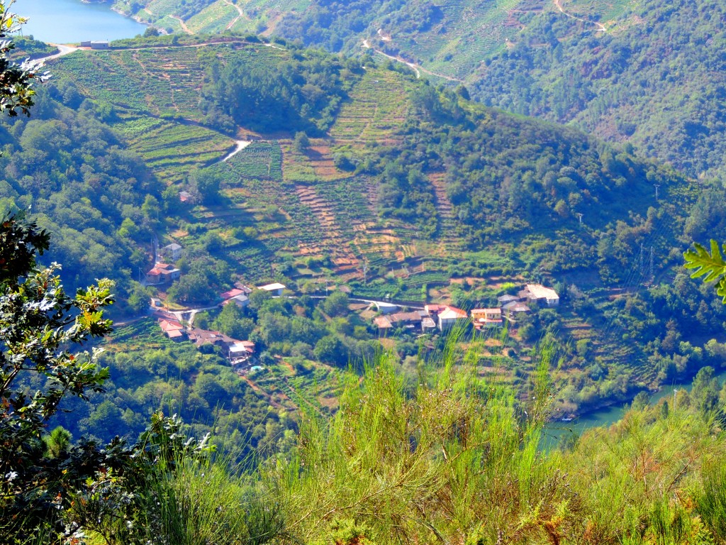 Foto de Rivera Sacra (Ourense), España