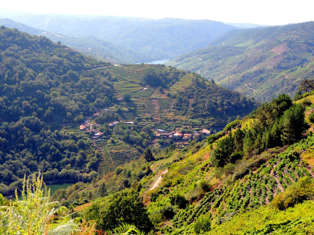 Foto de Rivera Sacra (Ourense), España