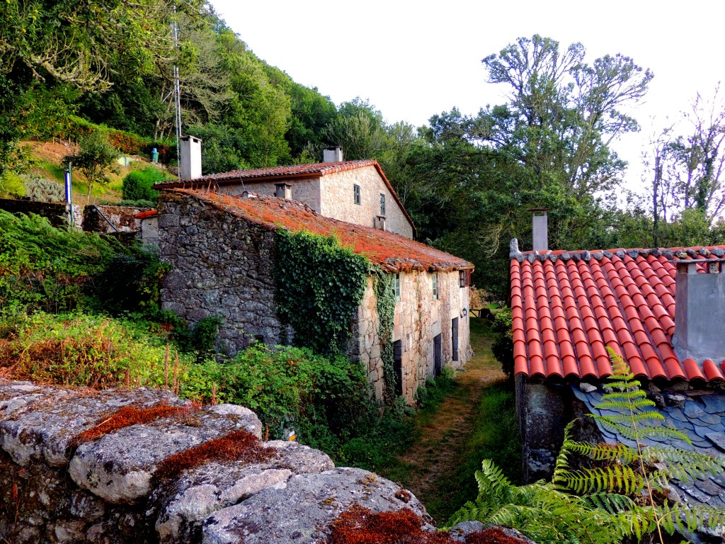 Foto de San Estebo de Rivas de Miño (Lugo), España