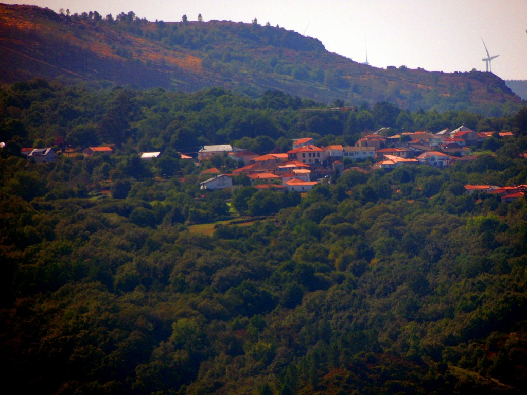Foto de Rivera Sacra (Ourense), España