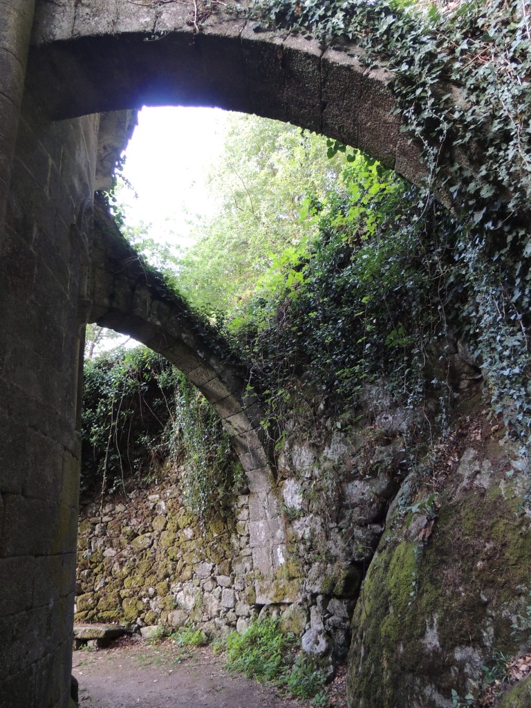 Foto de San Estebo de Rivas de Miño (Lugo), España