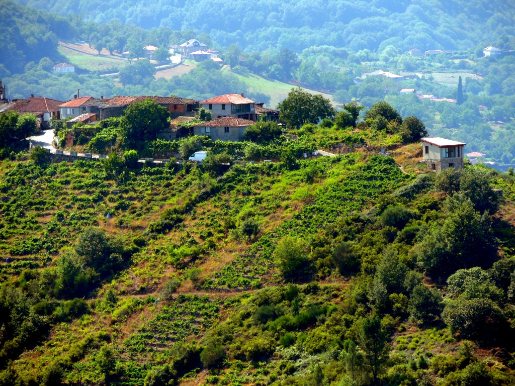 Foto de Rivera Sacra (Ourense), España