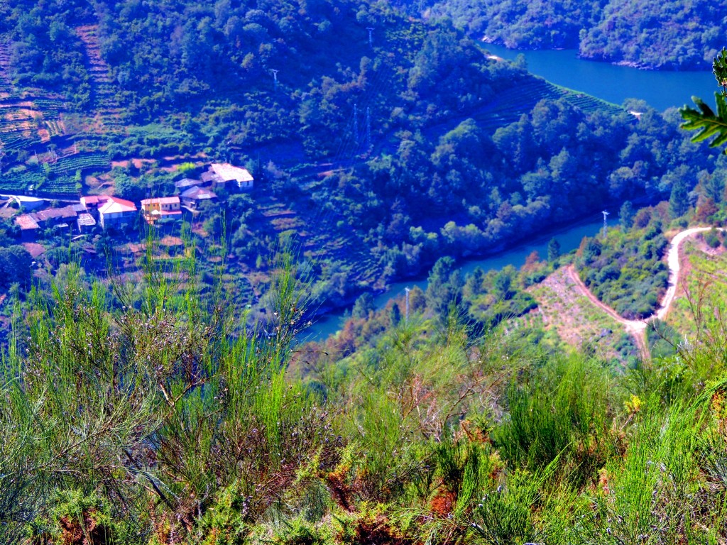 Foto de Rivera Sacra (Ourense), España