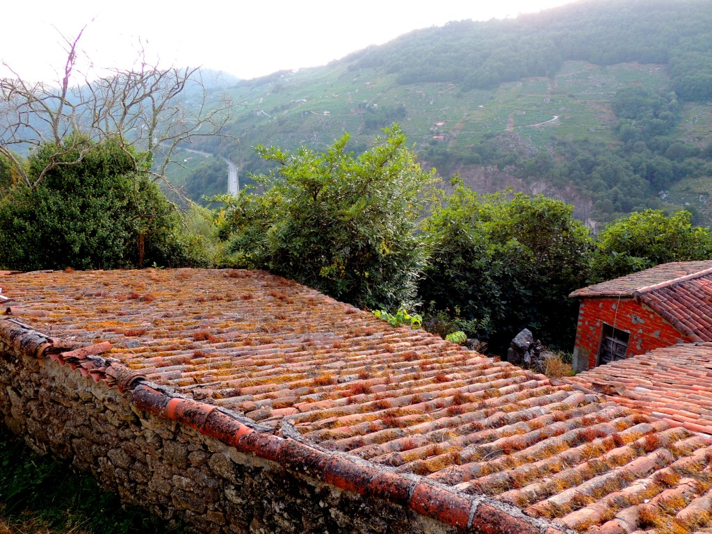 Foto de San Estebo de Rivas de Miño (Lugo), España