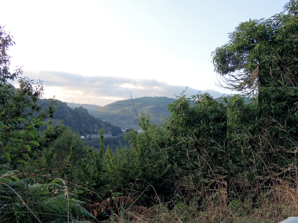 Foto de San Estebo de Rivas de Miño (Lugo), España