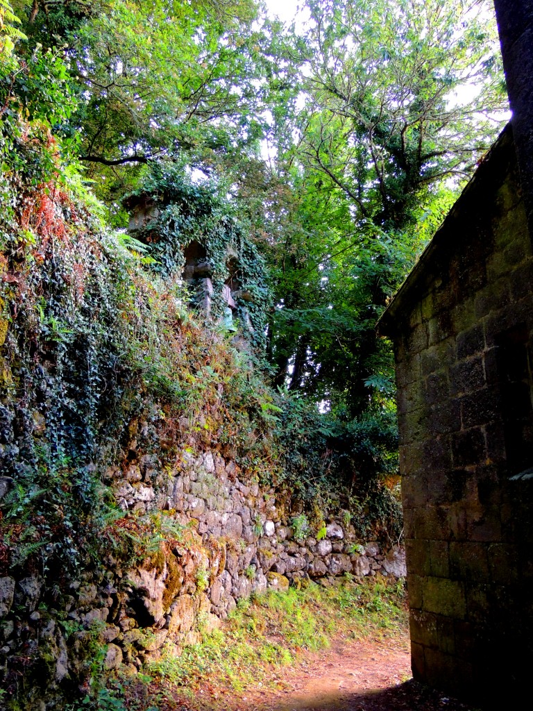 Foto de San Estebo de Rivas de Miño (Lugo), España