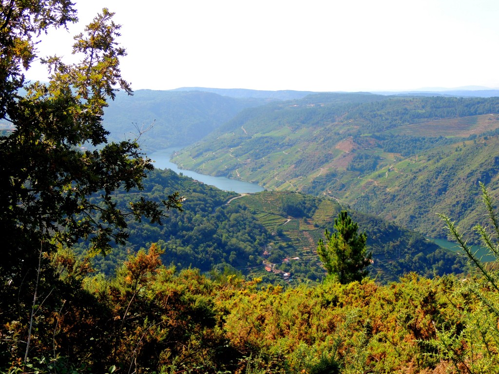 Foto de Rivera Sacra (Ourense), España