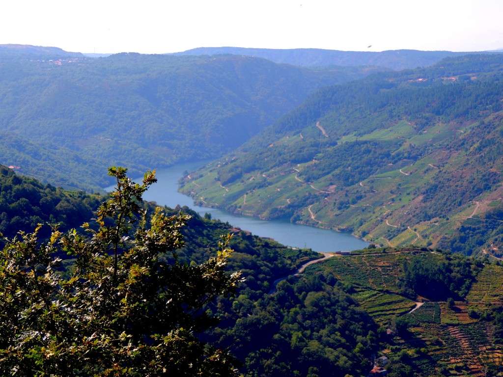 Foto de Rivera Sacra (Ourense), España