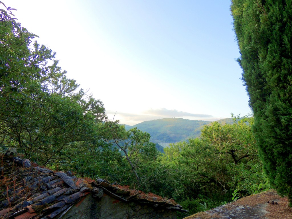 Foto de San Estebo de Rivas de Miño (Lugo), España