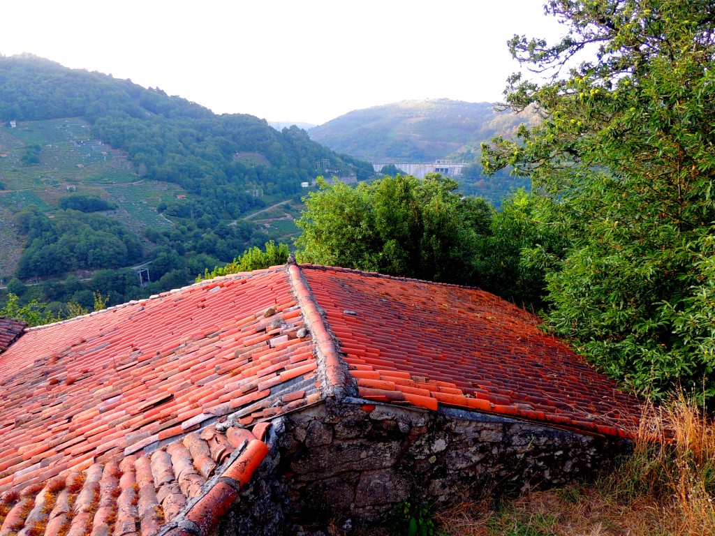 Foto de San Estebo de Rivas de Miño (Lugo), España