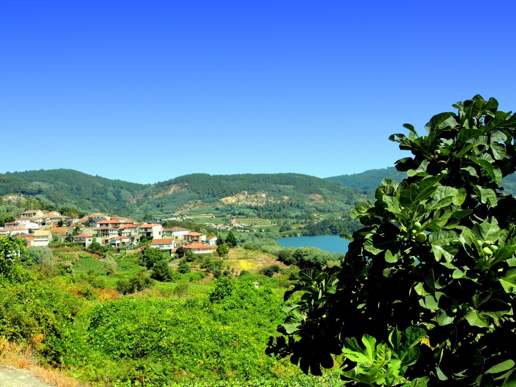 Foto de Trasariz (Ourense), España