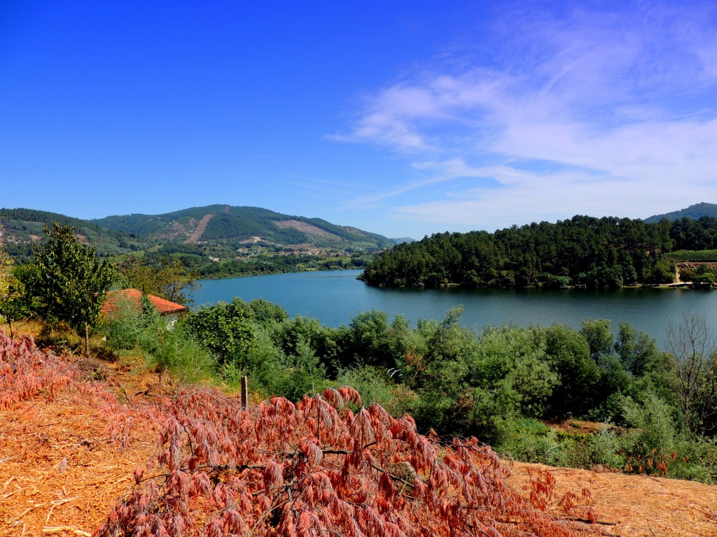 Foto de Trasariz (Ourense), España