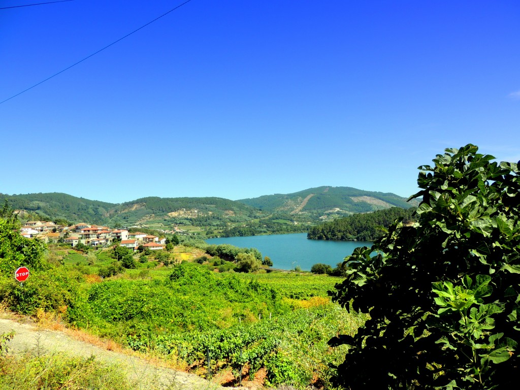 Foto de Trasariz (Ourense), España