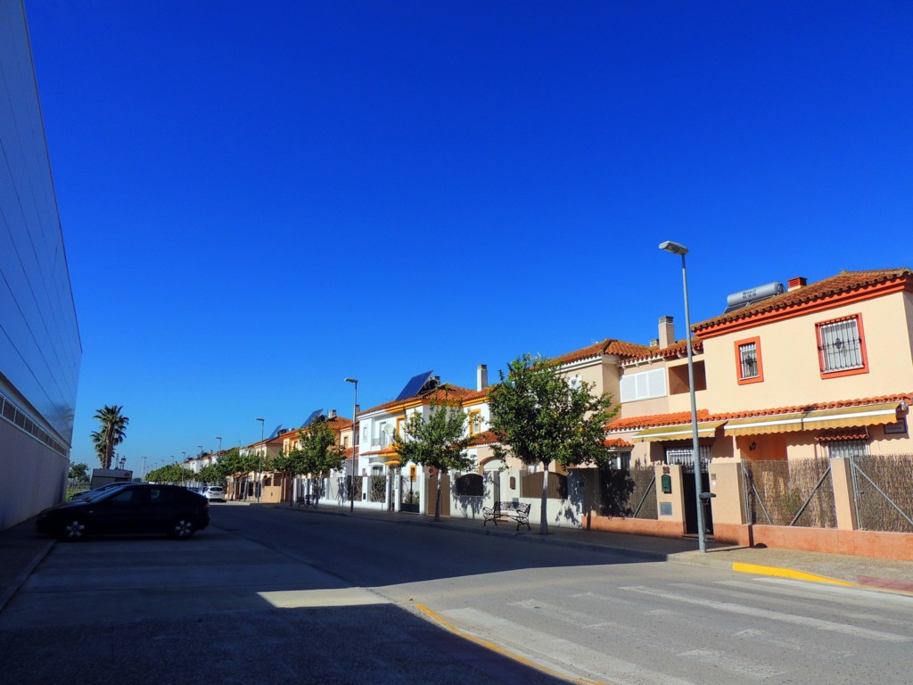 Foto: Avenida Colonos - Nueva Jarilla (Cádiz), España